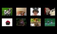 All Neighborhood Animals Music Videos at Once