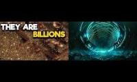 Thumbnail of 2beadaptedfortheinternetaudiencecropsstarop