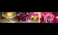 Thumbnail of Reiki to acess the akashic records mashup (Book of souls)