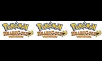 Battle Versus Raikou Entei and Suicune