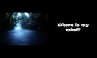 Where is my mind in a rainstorm