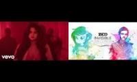 Zedd - "I want you to know that I feel Invisible" (feat. Wallflower Blush)