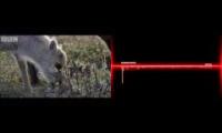 Wolf Blood (mashup video)