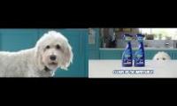 Flash Ah-ah Ultra Dog Advert