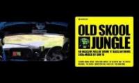 Rally Jungle DnB [Frank Kelly & Liam Brennan - Mashup Parody]