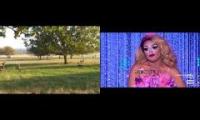 Vanjie Christ in Richmond Park