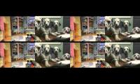 Disney Store | TV Loop | 2001