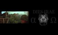 Apocalyspe Palmas mix