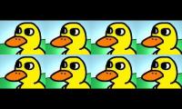 The duck walked duck walked duck walked duck walked duck walked duck walked duck walked duck