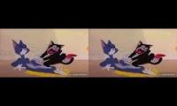 Tom vs blackcat|Tom & jerry cartoon