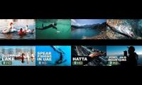 SPEARFISHING SHARK WEEK DUBAI 2018