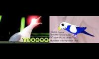 Thumbnail of Soulja Boi Wolf Cockatiel Birds Bones etc.