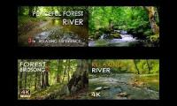 Nature sound -  Water Stream & Birdsong Sounds