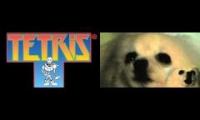 Tetris vs Gabe the Dog