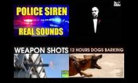 Sirens, police, dogs and Godfather