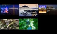 Relaxing Feudal Japanese Ambience