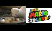 Thumbnail of Ermine Wintering + Mario 3D Land