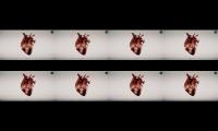 Heartbeat1234567890123456790