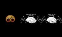 Brain Waves 3 of em all together