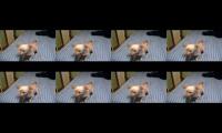 Malfunction function