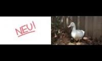 Neu Zizek! - Hallogallo