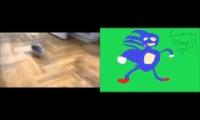 SANIC THE HEDGEHOG IRL