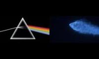 Space Floyd, Great Big Dragon in the Sky