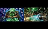 Healing Shaman Songs by Jungle Stream