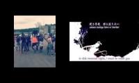 Black Weebs Dancing to Touhou Music (RARE VIDEO)