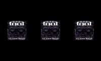 Tool 10.000 days, Viginti Tres, wings for Marie mashup
