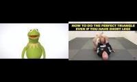 Bernardo Faria: Enter the Kermit