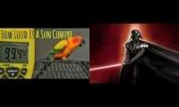 Conure Star Wars 17657468