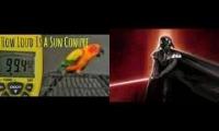 Conure Star Wars 17657468