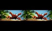 Crab rave offset one second