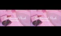 Subliminal flush subliminal