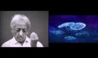 Krishnamurti Based Lifeforms, beta 1