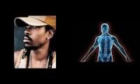 Beenie man body regeneration