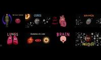 Human Bodies Vs Planets!