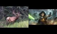 Thumbnail of -- Duel of the Elks --