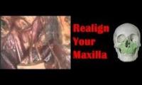 Maxilla subliminal frequencies