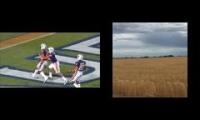 Auburn is Corn and Bama is Wheat