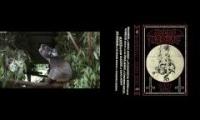 koalaaaaaaaaaaaaaaaaaaaaaaaaaaah
