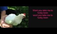 Chicken Dancing to Music