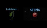 Gallbladder vs Sedna song