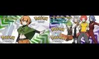 sinnoh e4 and sinnoh gym leaders