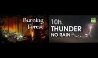Forest fire and Thunder