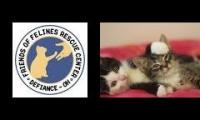 Thumbnail of FOFRescue_Ohio_1_Jacci_Rescue