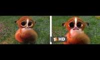 Mort Crying From Madagascar