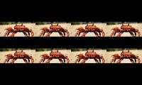 CRAB RAVE YEET WHY 2000