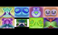 Zoopals in Deaf + Deaf Major + Blind + Blind Major blind deaf 2.0 and deaf and deaf major